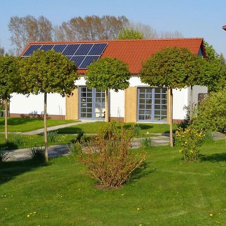 Alte Hofwerkstatt Leilighet Gaußig Eksteriør bilde